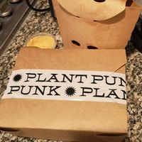  at Plant Punk in Zagreb