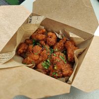  at Plant Punk in Zagreb