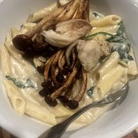 Local Mushroom Alfredo  at Zest Kitchen & Bar in Salt Lake City