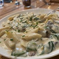 Pasta Alfredo ❤️ #Veganuary at Zest Kitchen & Bar in Salt Lake City