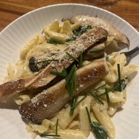 Oyster mushroom pasta in a perfect sauce   at Zest Kitchen & Bar in Salt Lake City