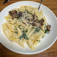 Alfredo  at Zest Kitchen & Bar in Salt Lake City