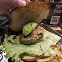   at Disneyland - Rainforest Cafe    in Chessy