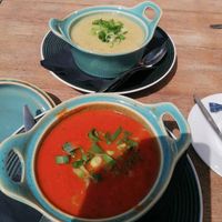 Vegan paprika soep en vegetarische mosterdsoep at De Drentsche Aa in Schipborg