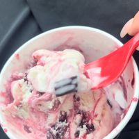  at Bruster's Real Ice Cream - Atlantic Blvd in Jacksonville