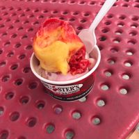   at Bruster's Real Ice Cream - Atlantic Blvd in Jacksonville