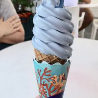 Coconut ice cream  at Feels By The Beach in Dubai