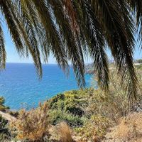  at Sąžiningas ūkis - Benedikto turguje - Maybe closed in Vilnius