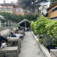   at Botanical Bar in Bologna