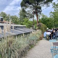   at Botanical Bar in Bologna