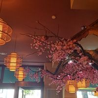  at Sen Vegan in Berlin