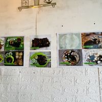 Overview 2  at Greenshot Vegan Coffee in Denpasar