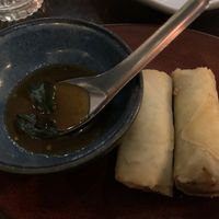 Springrolls with a potato curry filling, yum but expensive  at Sugarcane Restaurant in Coogee