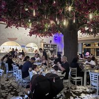 wild vibes for a restaurant lol  at Taverna Opa Orlando  in Orlando