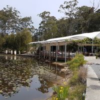 Abundance cafe at Abundance Lifestyle and Garden in Sancrox