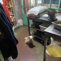 Kitchen staff  at Leylak Cafe in Istanbul