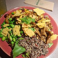  at Kaspar Schmauser in Leipzig