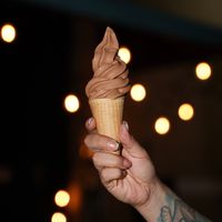 Helados at Holy Vegan in Aguascalientes