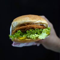 Chick’n at Holy Vegan in Aguascalientes