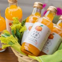Mikan Cider at Kannonyama Fruits Parlour Kinokawa - 観音山フルーツパーラー紀の川 in Wakayama