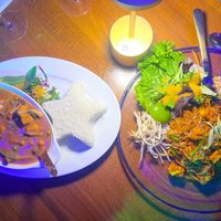 Panang Curry Tofu and Pad Thai Tofu #Veganuary at Wandee Asian Fusion in Tampa