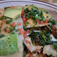 Spinach enchiladas,  no cheese at Bandon Rancho Viejo in Bandon