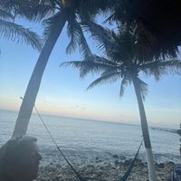   at La Buena Vida Restaurant & Bar in Akumal