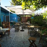 Garden at Nourish Me Wholefoods in East Fremantle