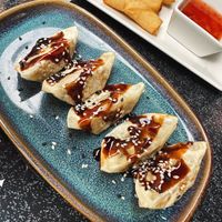 Vegi Gyoza & Vegi Spring Rolls  at Koi Sushi&Asia in Bad Sackingen