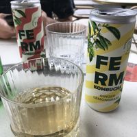 kombucha  at OhMA Gent in Ghent