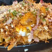   at OhMA Gent in Ghent