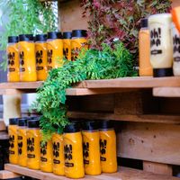 Vegan Summer Fest 2026 at OhMA Gent in Ghent