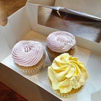 Lemon cupcake and vanilla/berry cupcakes  at Brunch Box in Springfield
