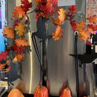   at Brunch Box in Springfield