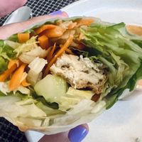 Delicious spring rolls  at Tuk Tuk Thai in Tucson