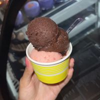 dark chocolate and strawberry gelatoo  at Figaro Dessert Cafe in San Diego
