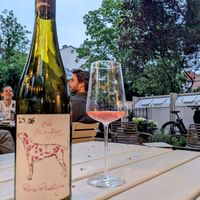 Awesome natural wines.  at ÆNDRÈ - Schlüterstraße in Hamburg