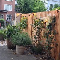  at ÆNDRÈ - Schlüterstraße in Hamburg