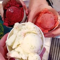 Waldbeer, eerdbeer, citrone basilicum at Creamlovers in Bremen