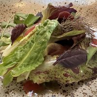 Salad   at The Second Story at Little Saint in Healdsburg