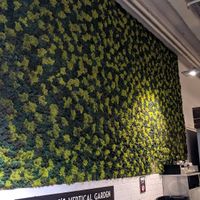 Lichen wall at Planet Organic - Torrington Place in London