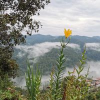  at Karma Cocina in San Mateo Rio Hondo