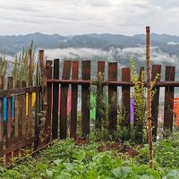  at Karma Cocina in San Mateo Rio Hondo