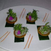 mushroom pate at L'Elephant Vert in Luang Prabang