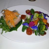 spring rolls and salad at L'Elephant Vert in Luang Prabang
