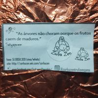 A Zen lesson at Espaço Not Meat in Rio Grande