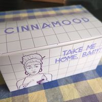 Take away box containing two rolls at Cinnamood in Aachen
