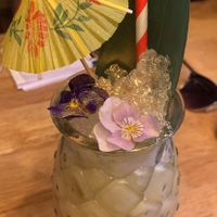   at Lazy Fox in Bournemouth