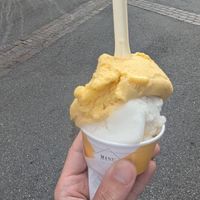 Lime and Passion Fruit Sorbet at Manu Gelato in Fribourg