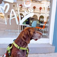  at Essential Haus  in Limassol